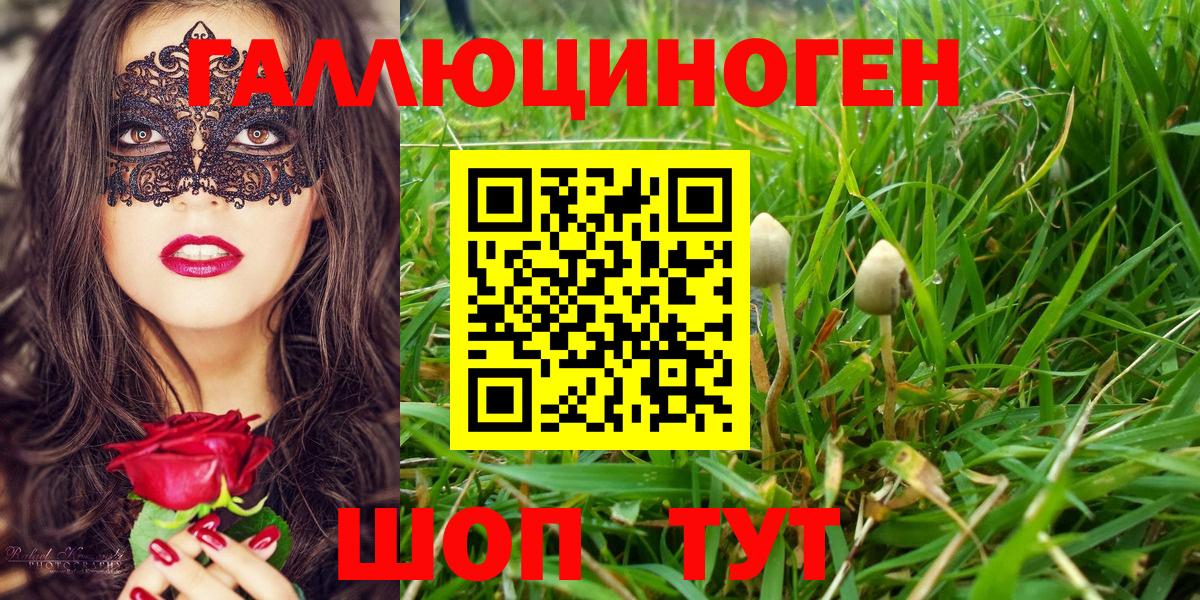 Псилоцибиновые грибы Psilocybine cubensis Верхняя Салда